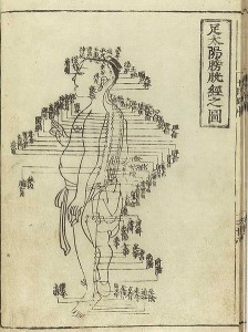 LAN Acupuncture meridians