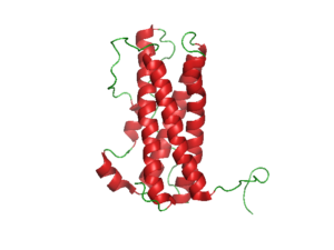 prl_structure