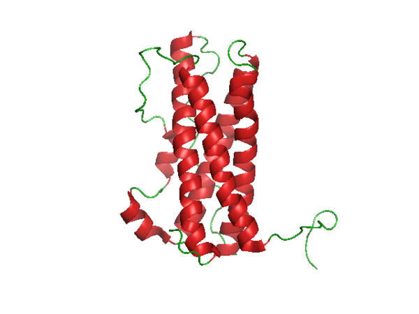 Prolactin Protein Molecule