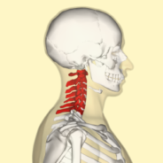 Neck Pain Alleviated with Acupuncture