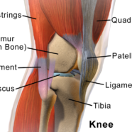 Knee Pain and Fibromyalgia